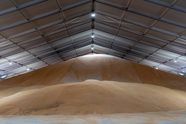 Les propriétés incontournables pour un entrepôt de grains Les propriétés incontournables pour un entrepôt de grains